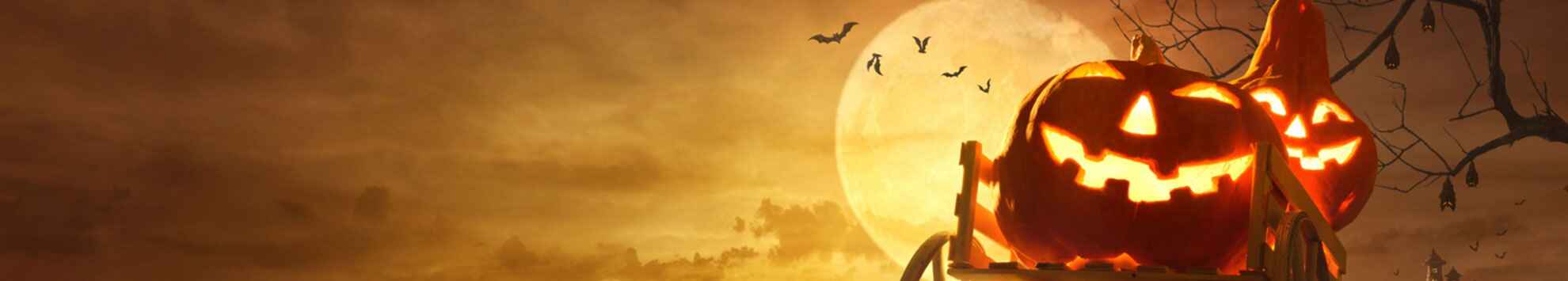 Exclusive Travel Deals On 2025 Halloween